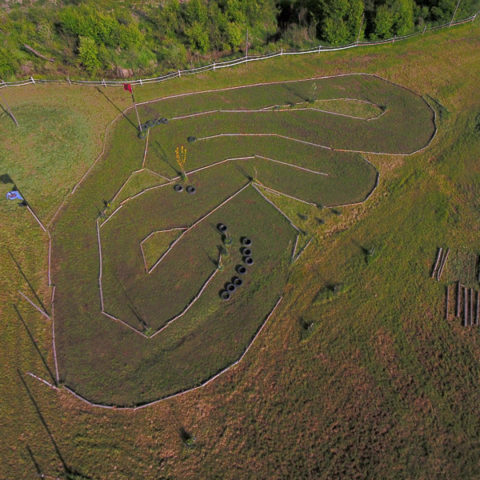 Tory RC - ArenaMocy.pl