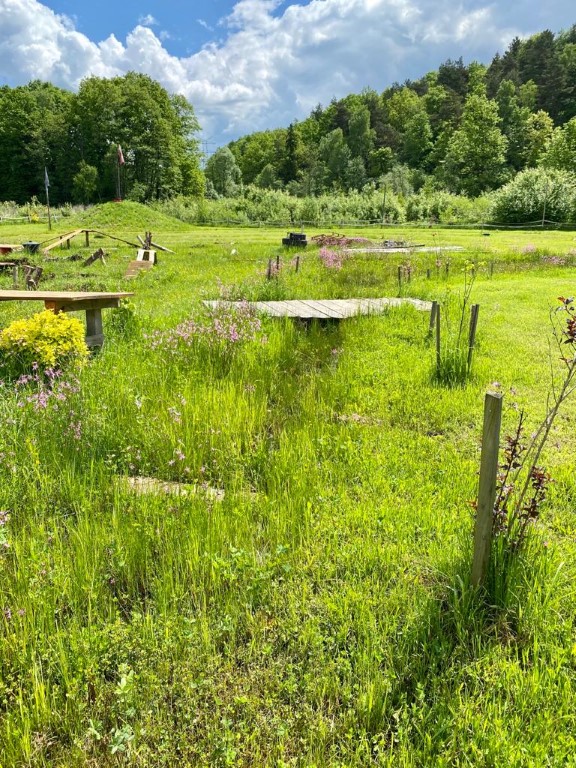 Strefa RC na Arenie Mocy